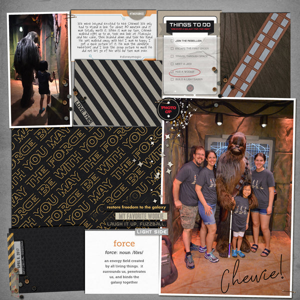 Project Mouse (Galaxy): Papers