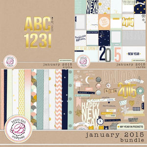 My Year In Pockets (January 2015): Bundle
