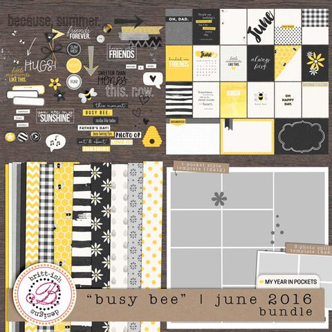My Year In Pockets: "Busy Bee" | June 2016 (Bundle)