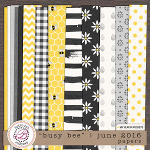 My Year In Pockets: "Busy Bee" | June 2016 (Papers)