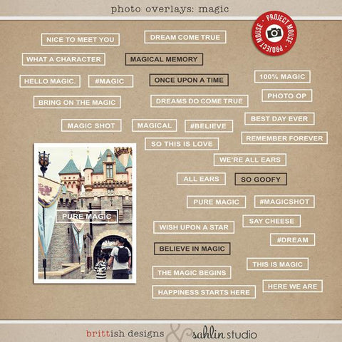 Project Mouse: Photo Overlays