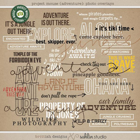 Project Mouse (Adventure): Photo Overlays