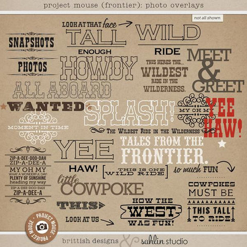 Project Mouse (Frontier): Photo Overlays