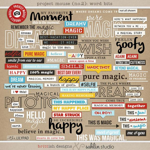 Project Mouse (No.2): Word Bits