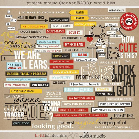 Project Mouse (SouvenEARS): Word Bits
