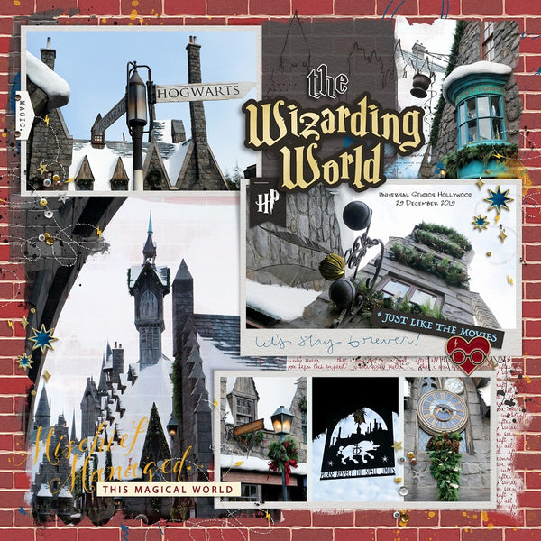 Project Mouse (Wizarding): Pins